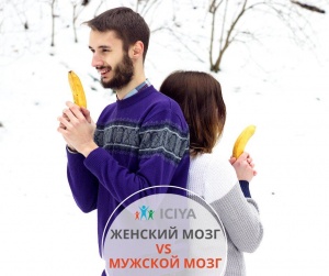Женский и мужской мозг: есть ли различия?