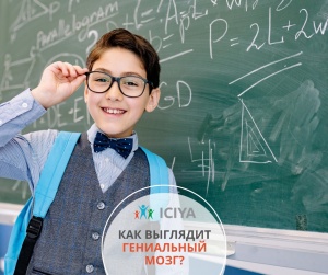 Как выглядит гениальный мозг?