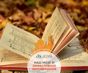 Наш мозг и эффективное запоминание