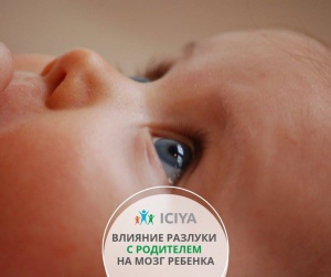 Какие изменения произойдут в головном мозге маленького ребенка, если его отделить от родителя?