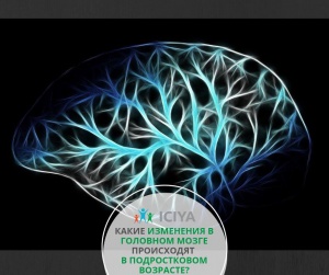 Какие изменения в головном мозге происходят в подростковом возрасте?