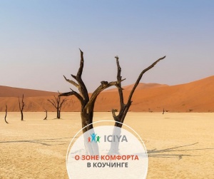 Зона комфорта в коучинге