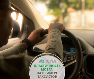 Пластичность мозга на примере таксистов