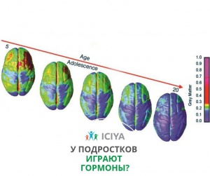 У подростков играют гормоны?