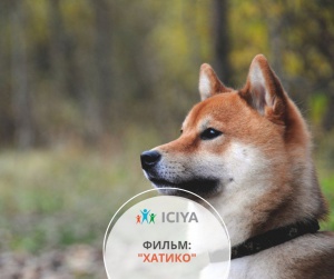 «Фильмы для семейного просмотра» одним из самых трогательных фильмов – «Хатико».