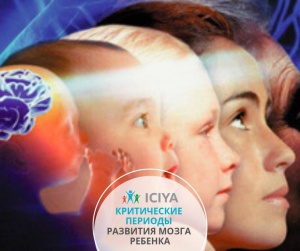 Развитие мозга ребенка