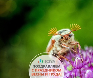 Поздравляем с первым майским днём, с праздником вдохновенного и созидательного труда!