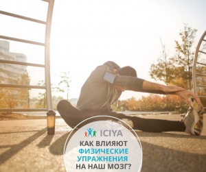 Как физические упражнения влияют на наш мозг?