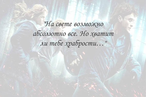 Многие любят Гарри Поттера