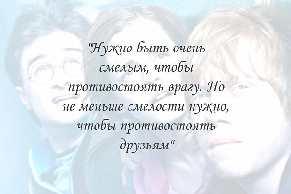 Многие любят Гарри Поттера