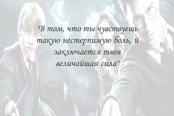 Многие любят Гарри Поттера