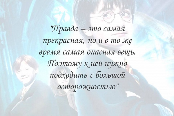Многие любят Гарри Поттера