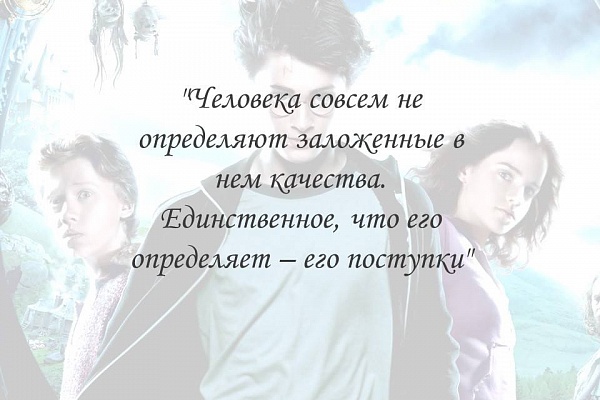 Многие любят Гарри Поттера